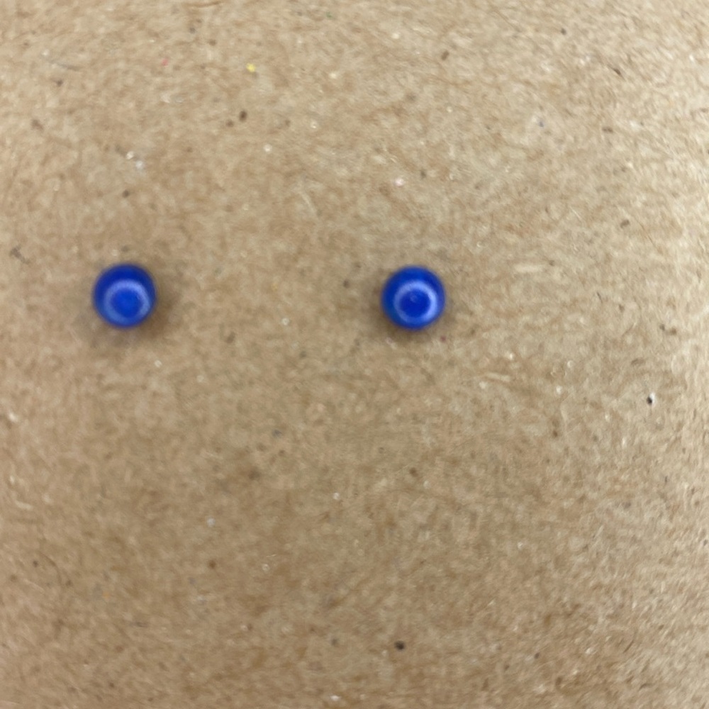 The Rooted Seeds Stud Earrings Blue NWOT